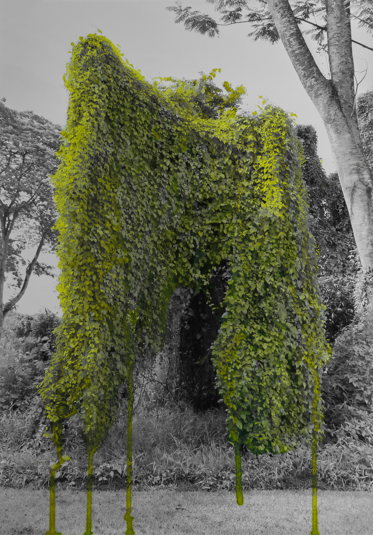 Archillect ID 398179