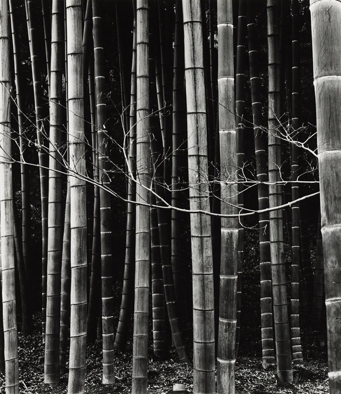 Archillect ID 398182