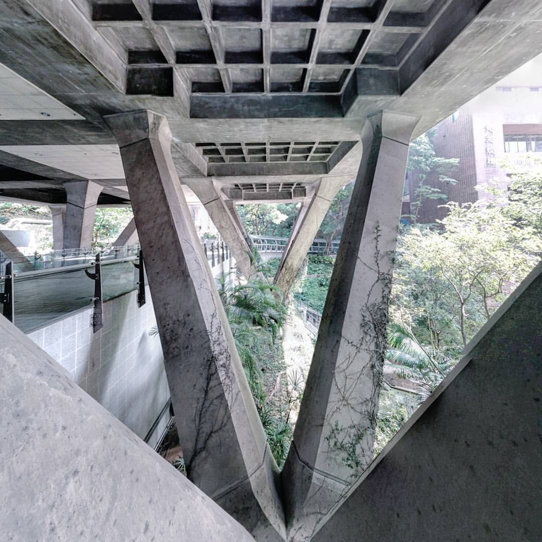 Archillect ID 398194