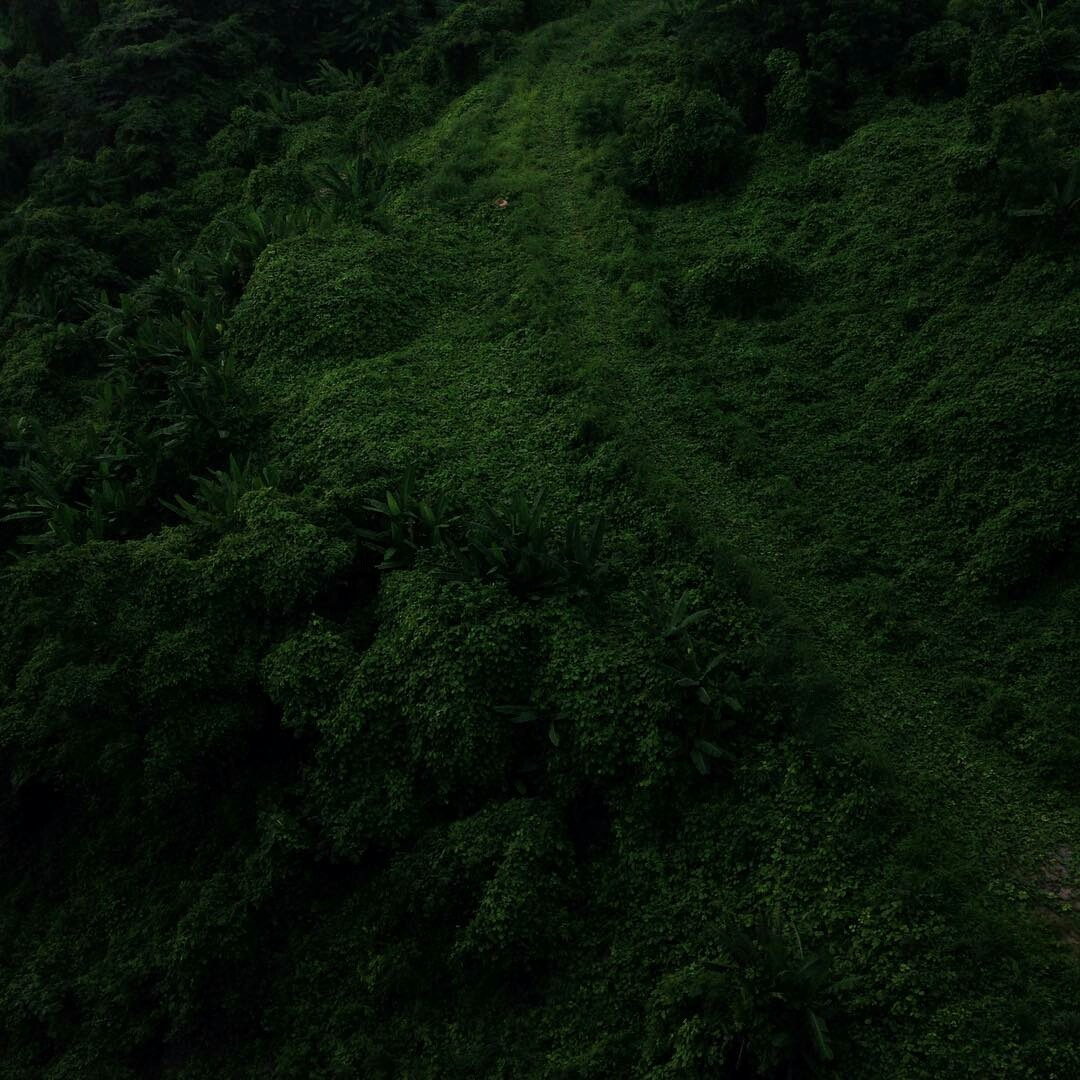 Archillect ID 398203