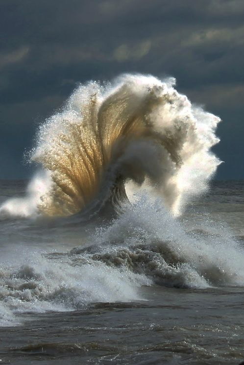 Archillect ID 398207