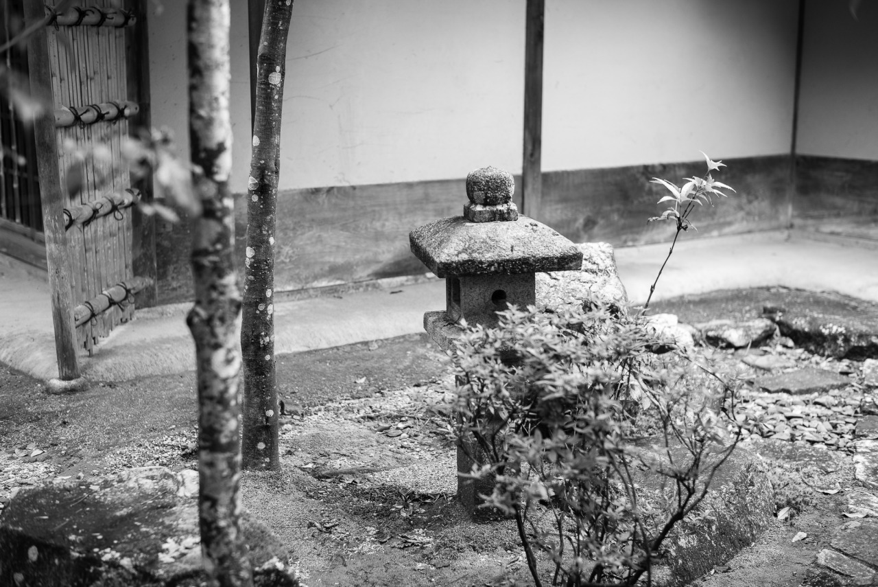 Archillect ID 398210