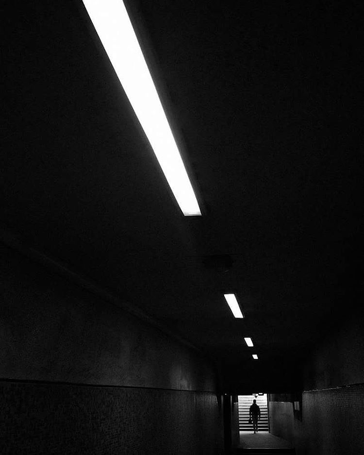 Archillect ID 398261