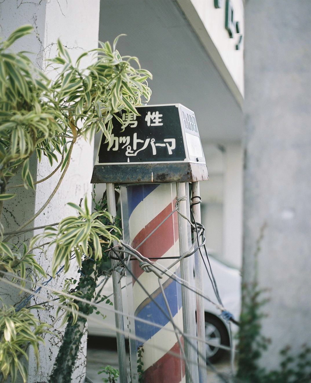 Archillect ID 398298