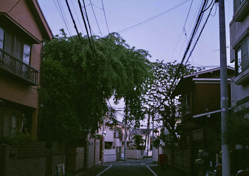 Archillect ID 398300