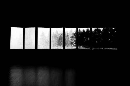 Archillect ID 398381