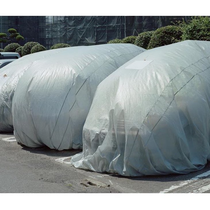 Archillect ID 398392