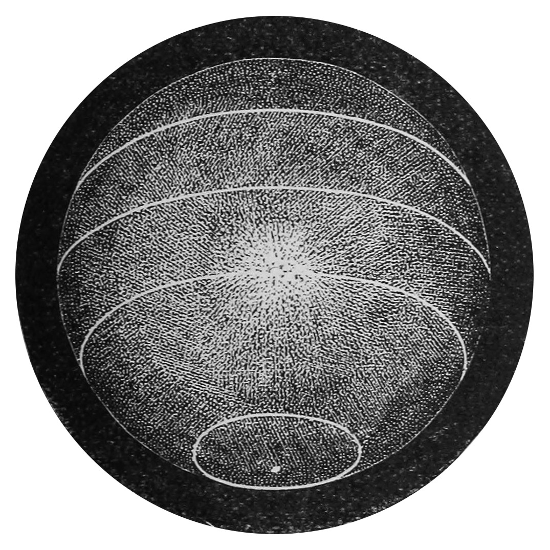 Archillect ID 398405