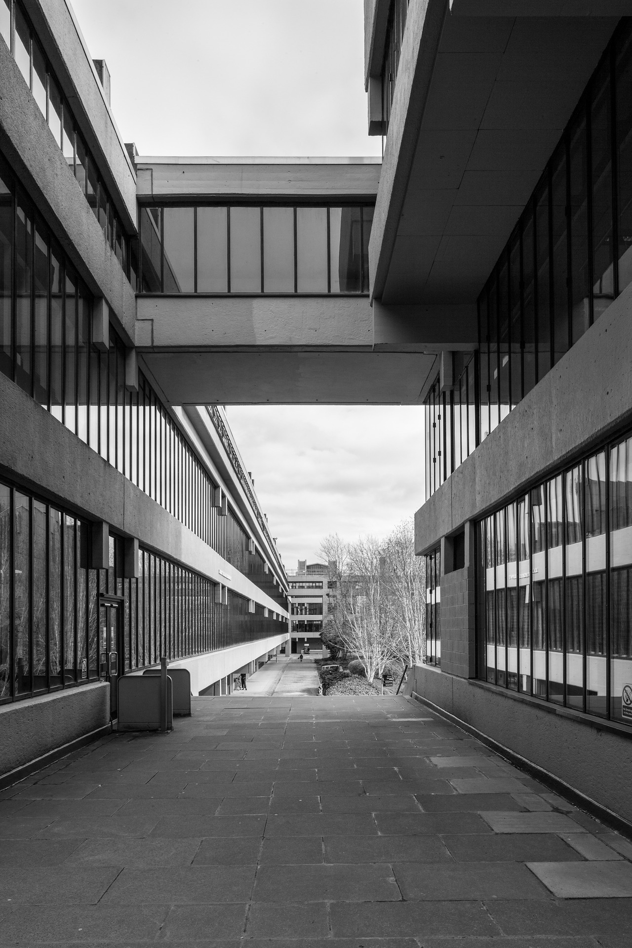 Archillect ID 398440