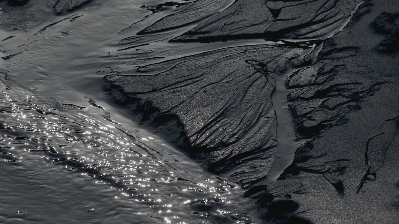 Archillect ID 398491