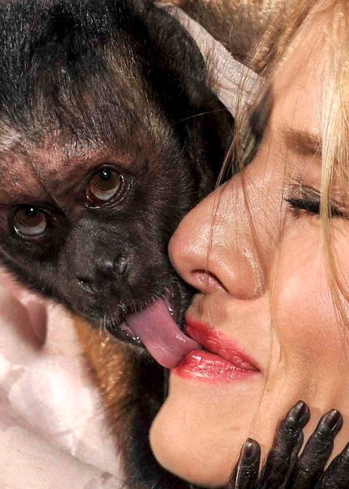 Archillect ID 398492