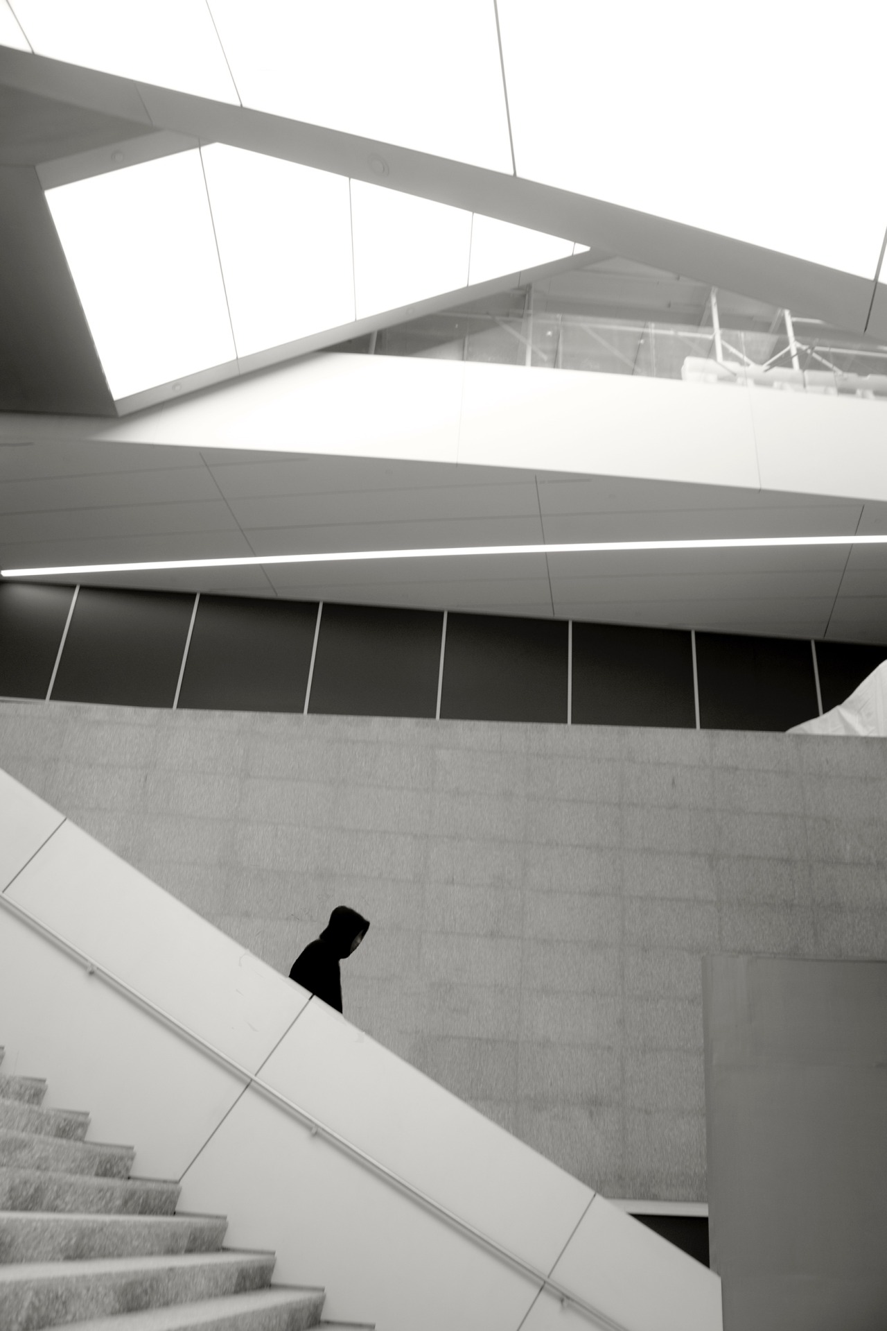 Archillect ID 398519