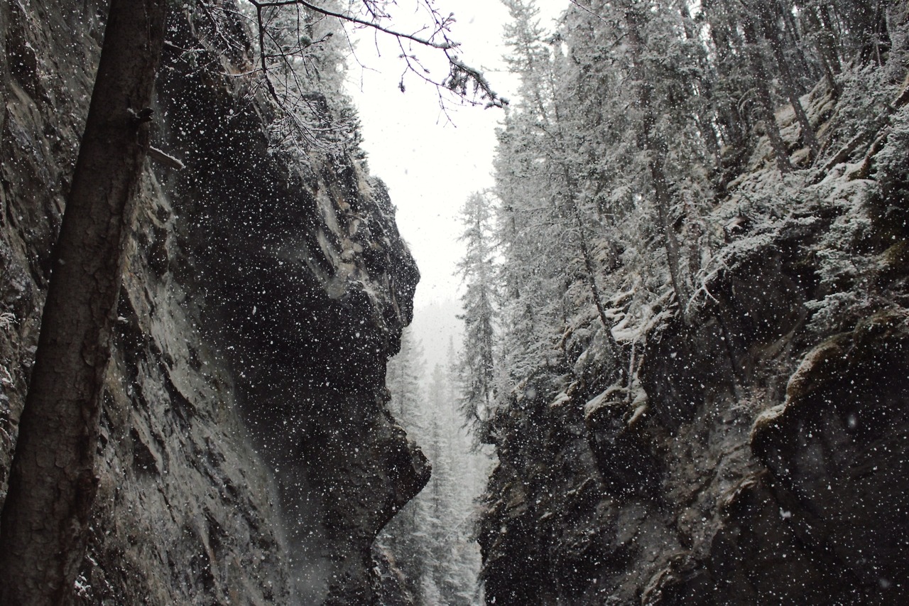 Archillect ID 398558