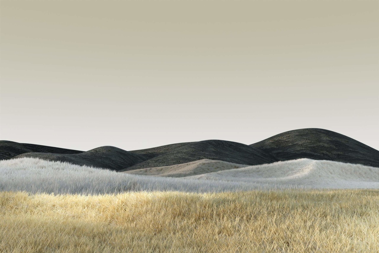 Archillect ID 398599