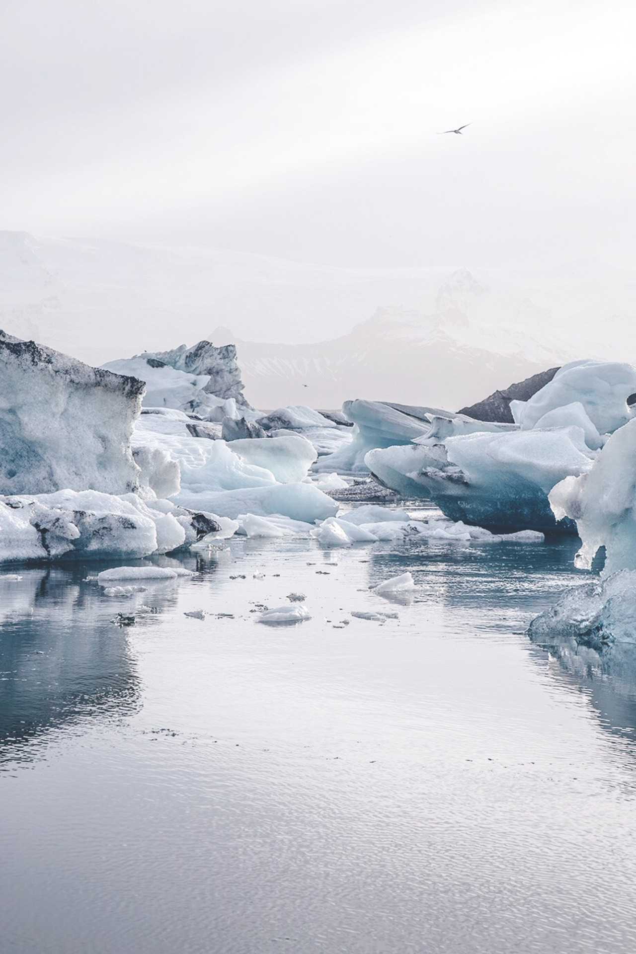 Archillect ID 398681