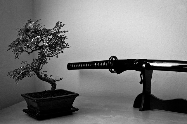 Archillect ID 398691