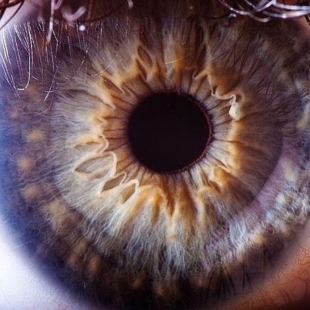 Archillect ID 398711