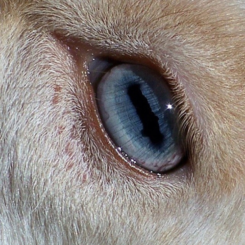 Archillect ID 398719