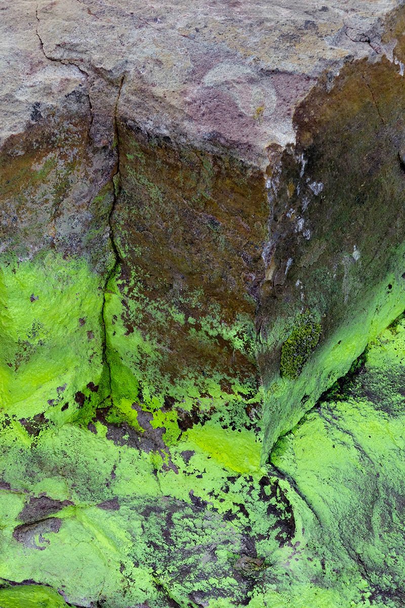 Archillect ID 398780