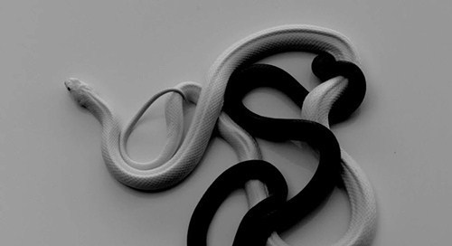 Archillect ID 398793