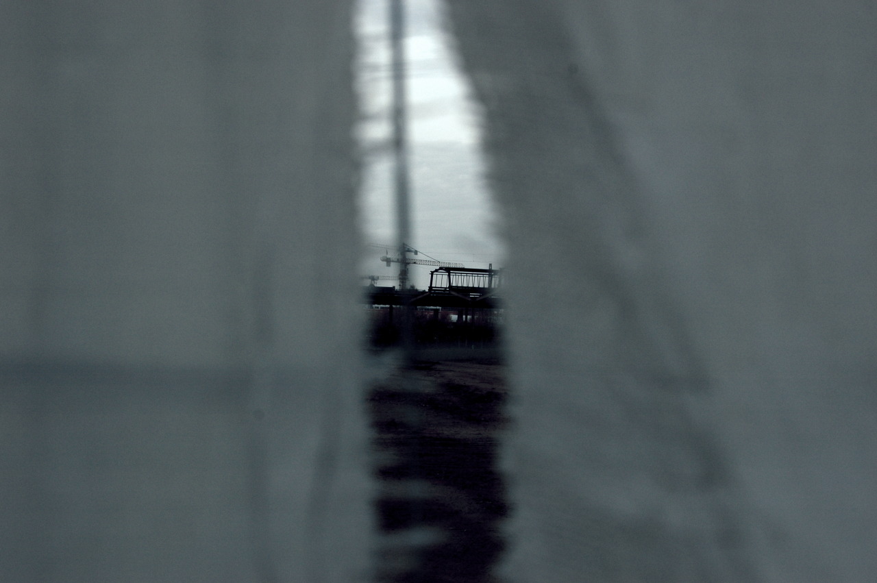 Archillect ID 398815