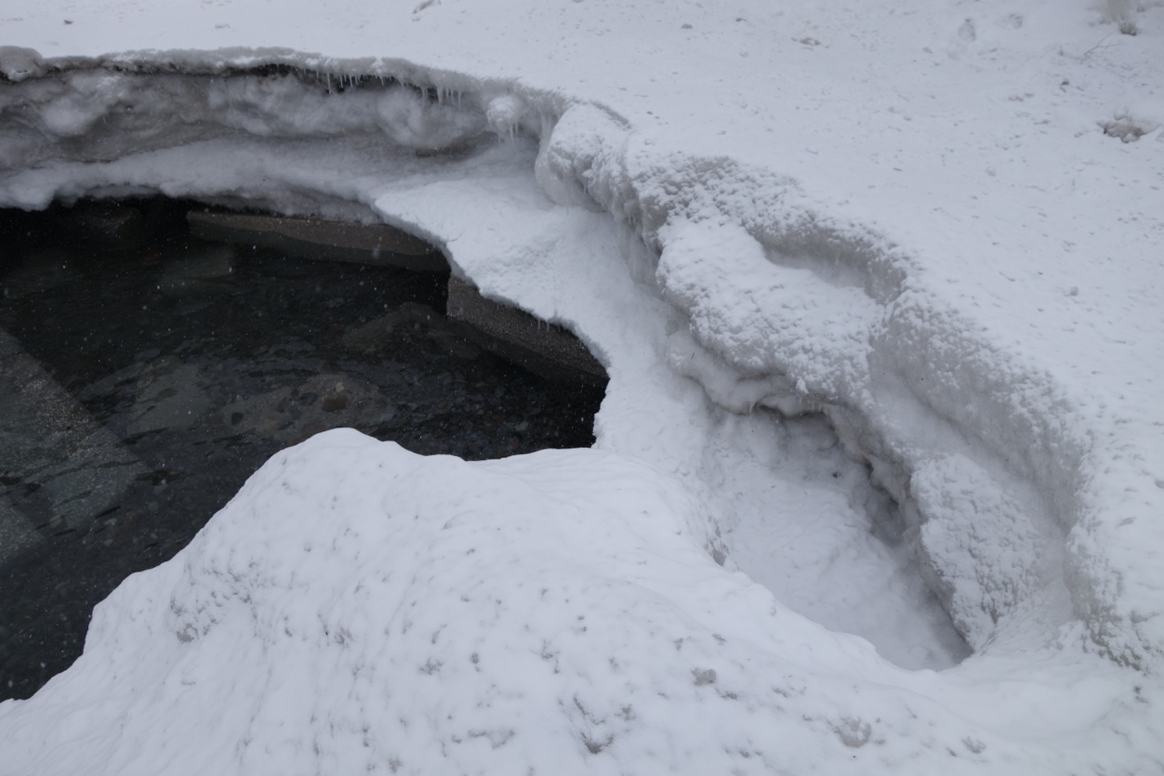 Archillect ID 398882