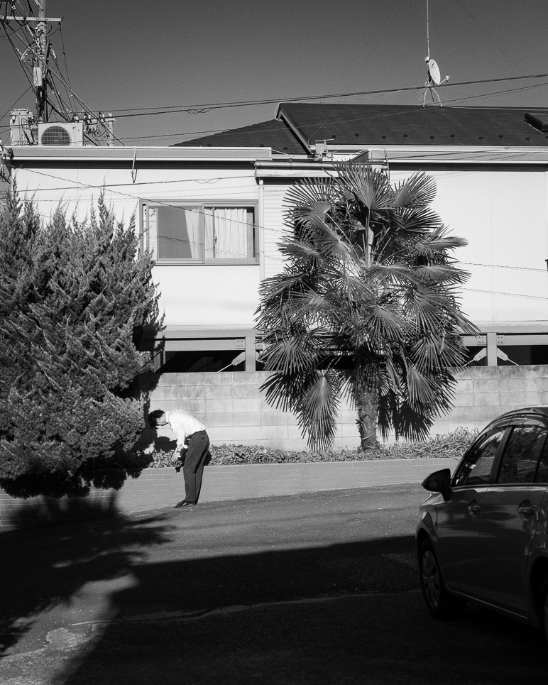 Archillect ID 398884