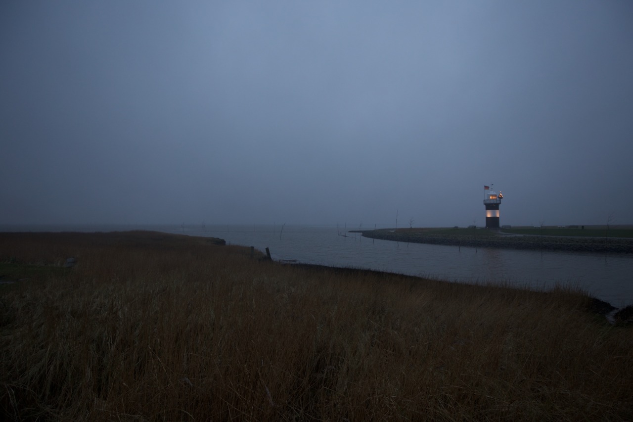 Archillect ID 398885