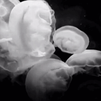 Archillect ID 398888