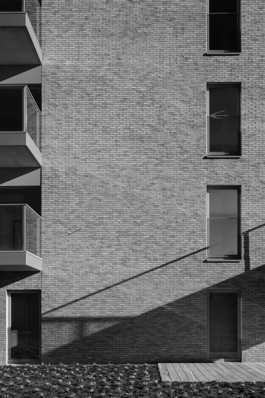 Archillect ID 398919