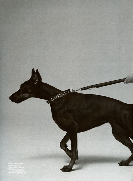 Archillect ID 398943