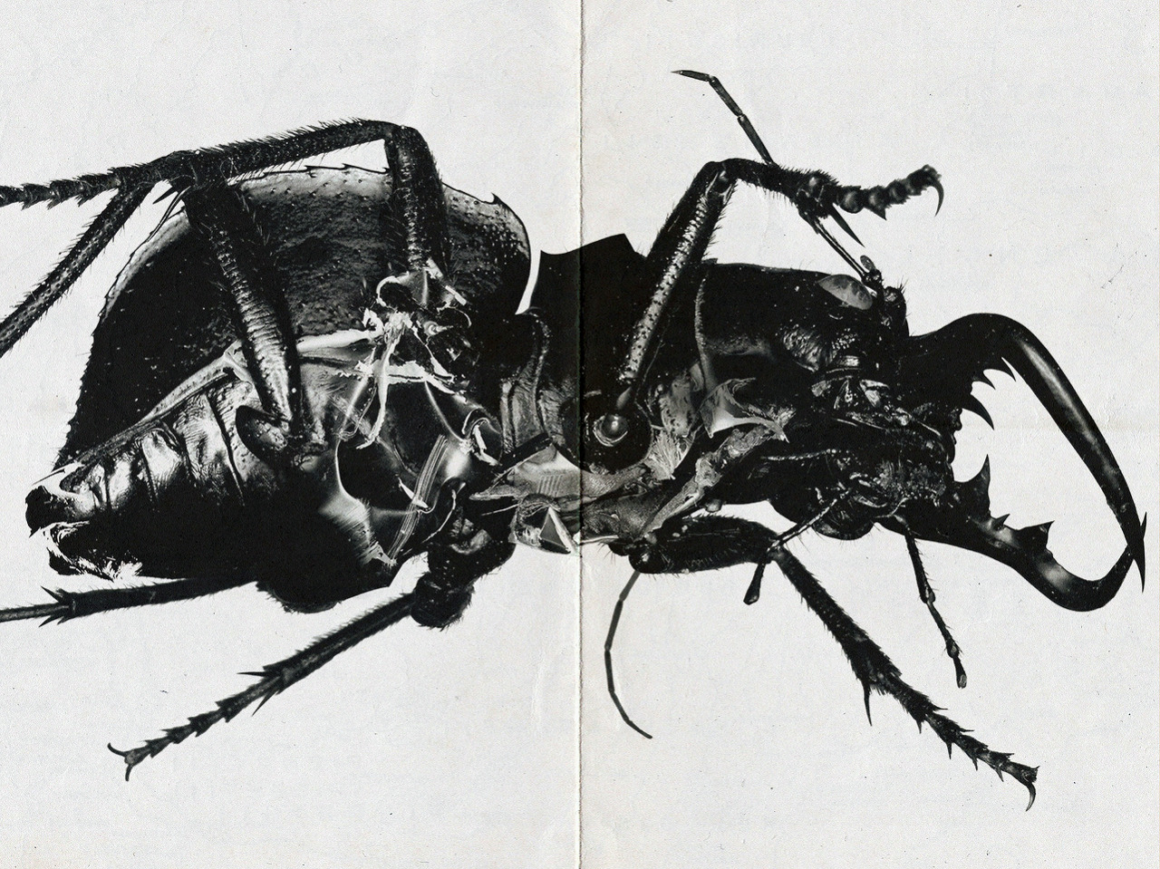 Archillect ID 398985