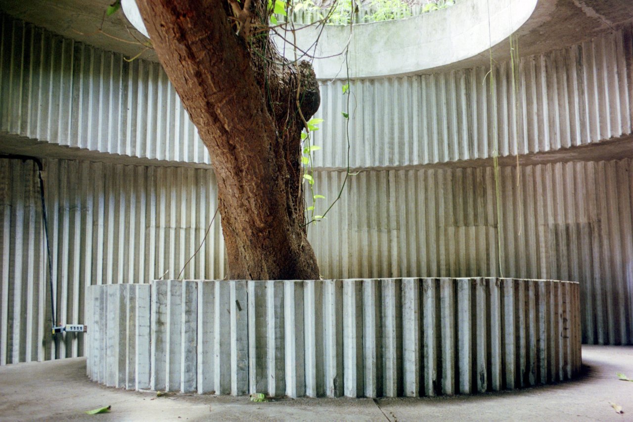 Archillect ID 399002