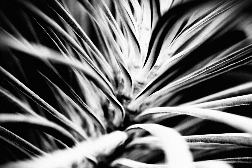 Archillect ID 399041