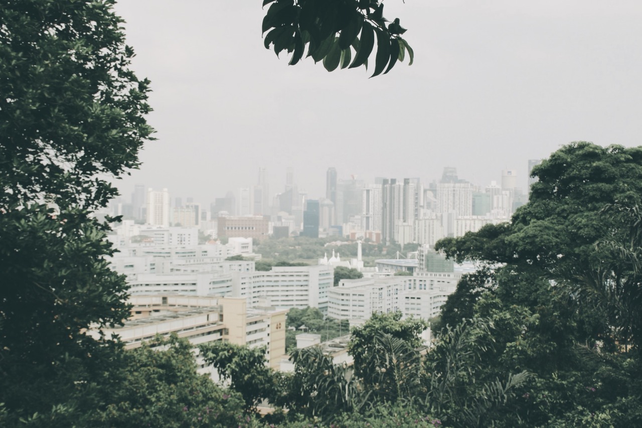 Archillect ID 399094