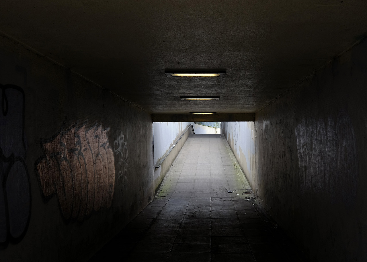 Archillect ID 399111