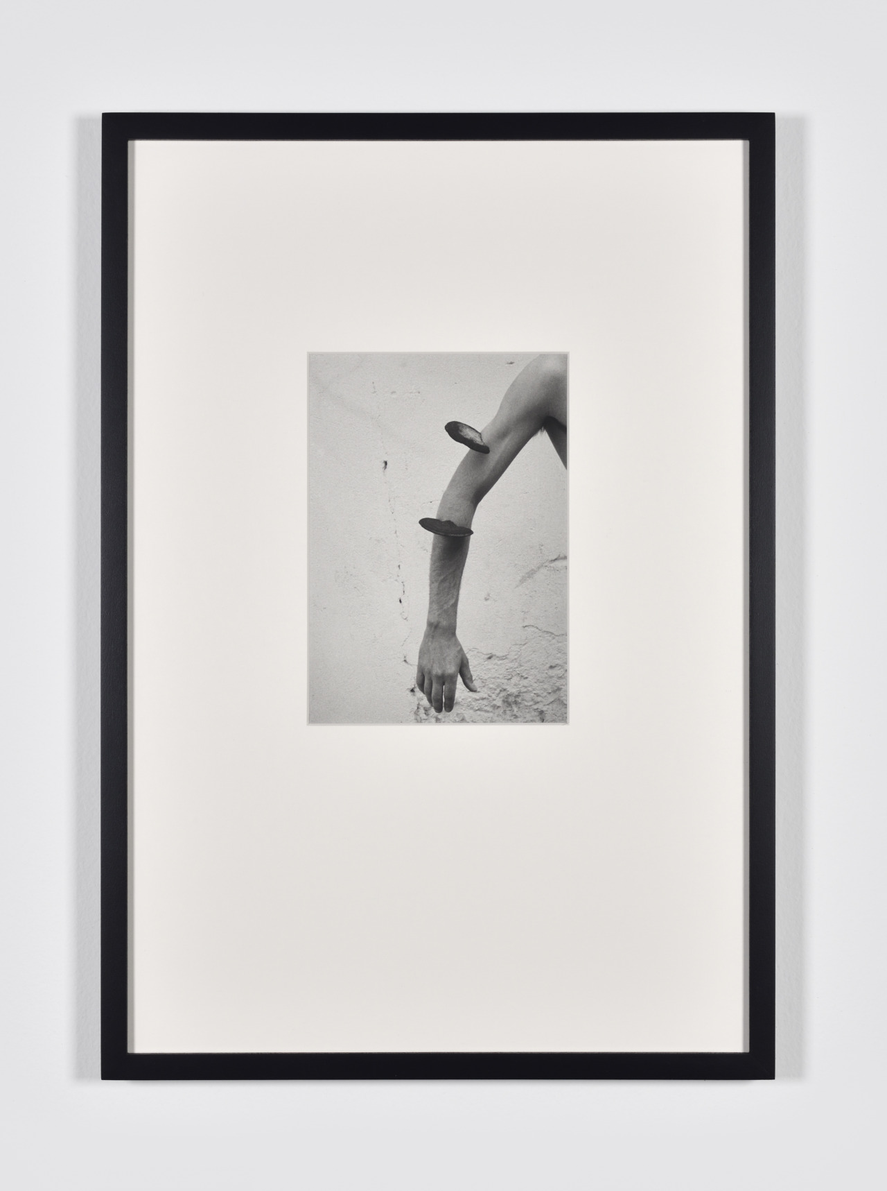 Archillect ID 399123