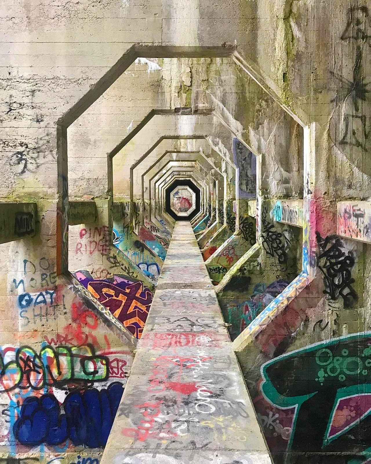 Archillect ID 399133