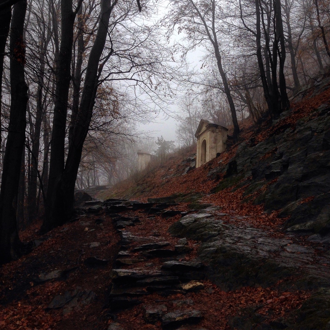 Archillect ID 399144