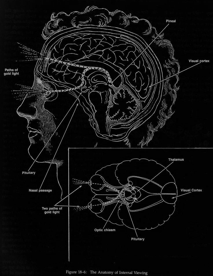 Archillect ID 399152