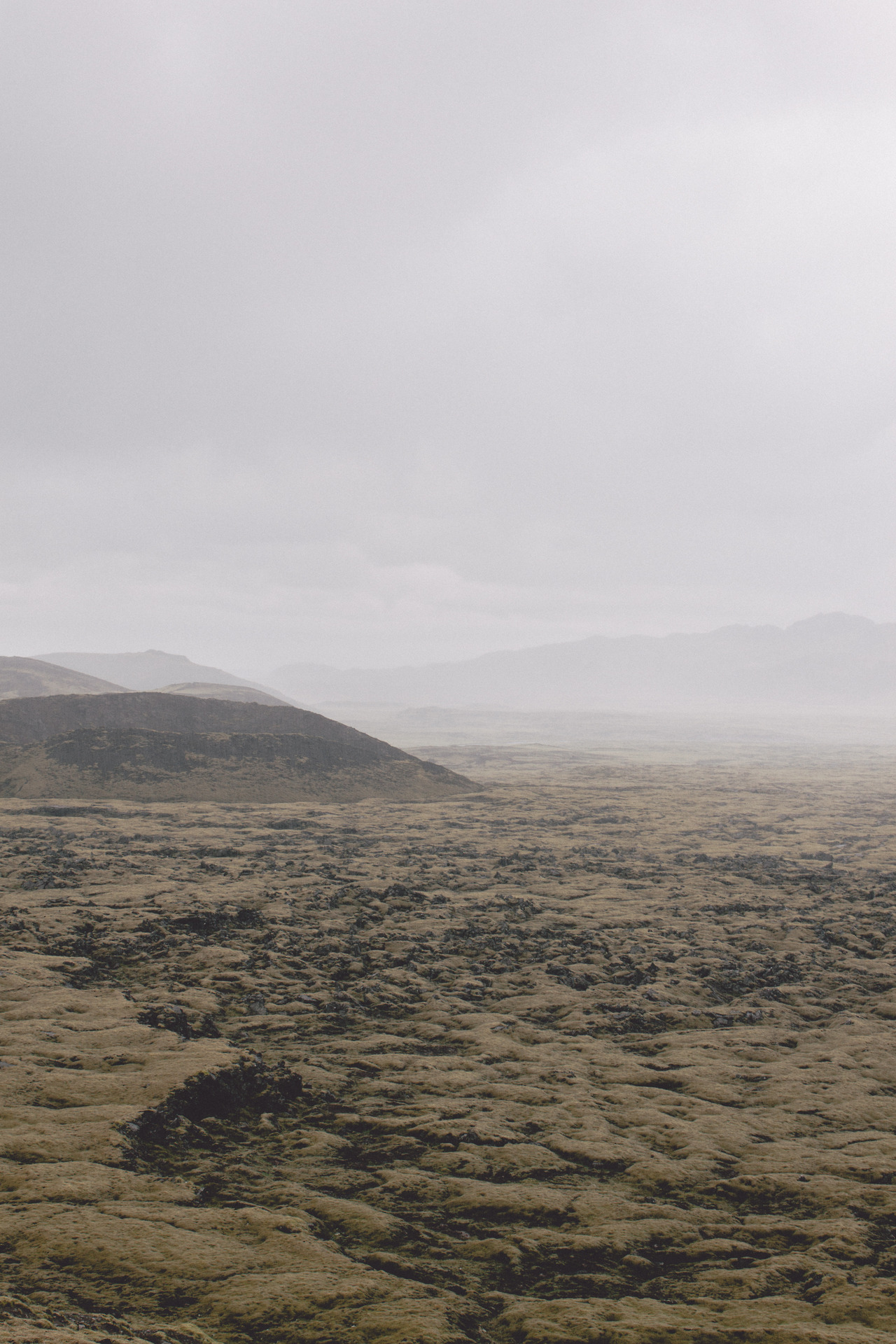 Archillect ID 399161