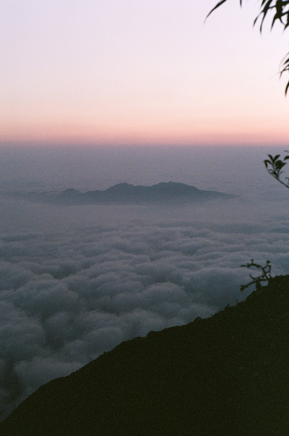 Archillect ID 399165