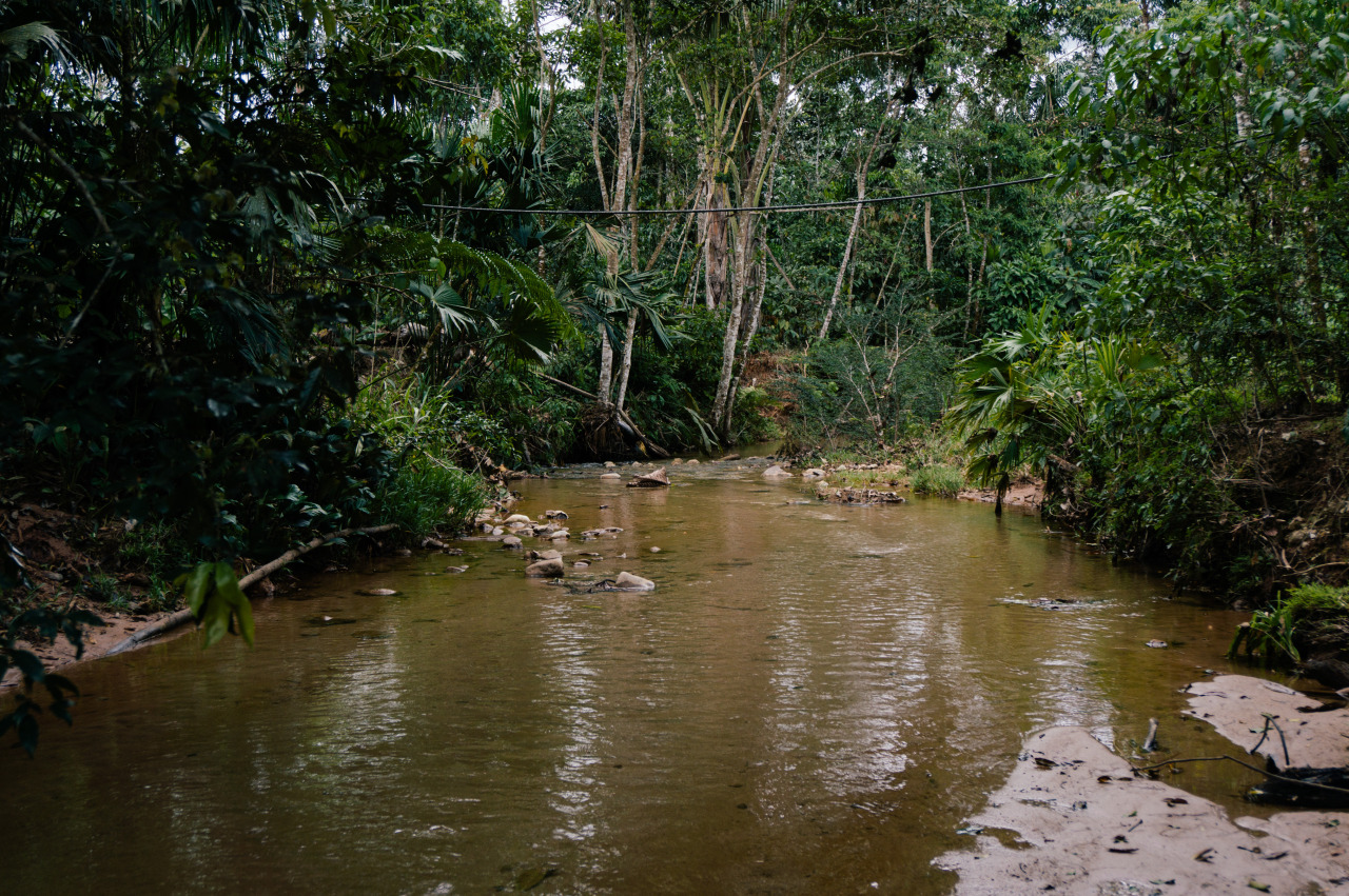 Archillect ID 399169