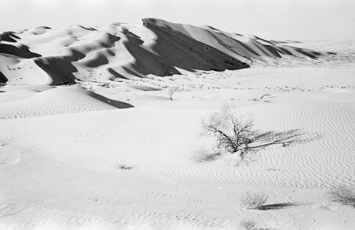 Archillect ID 399170