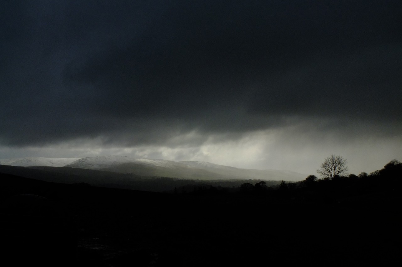 Archillect ID 399175