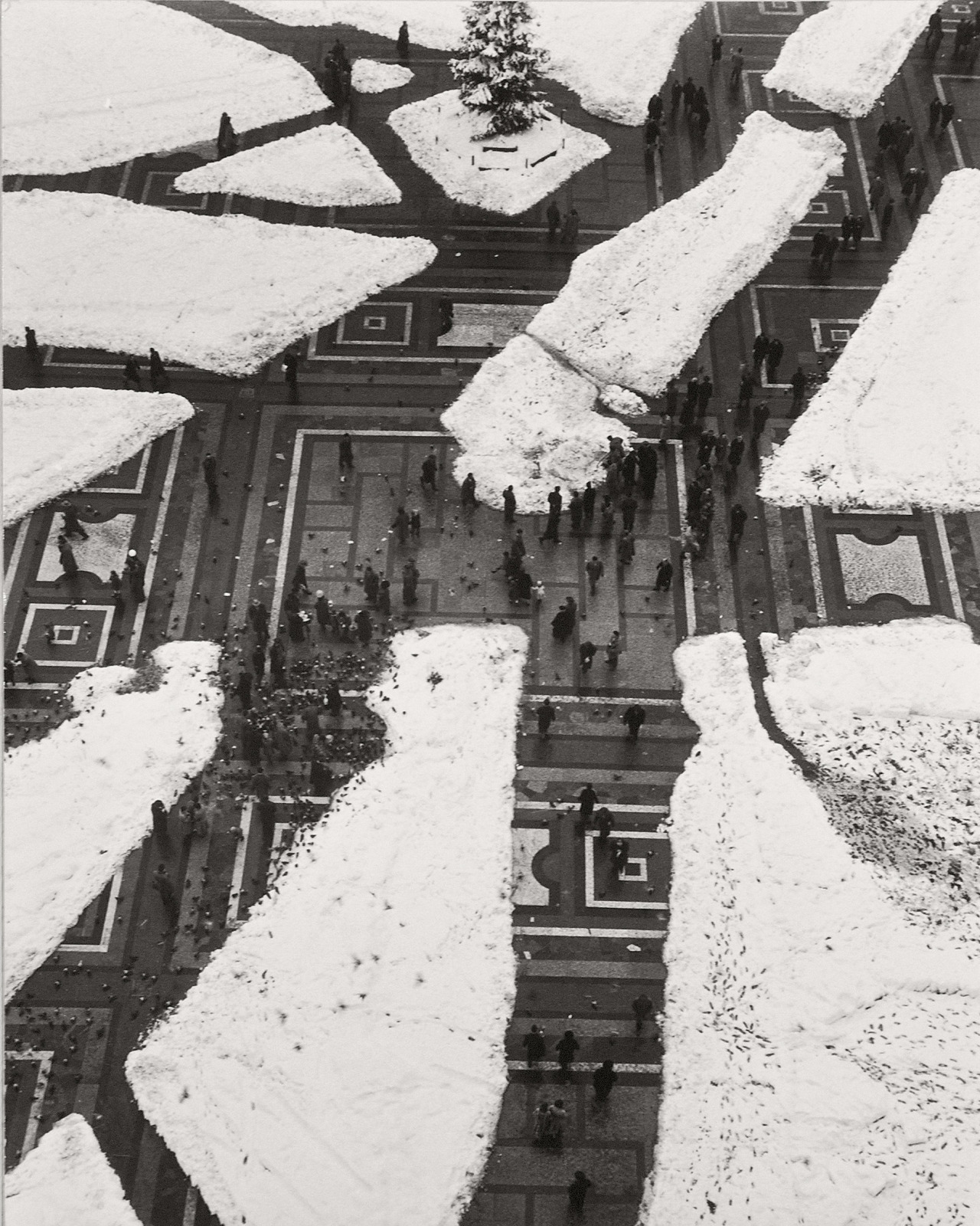 Archillect ID 399187