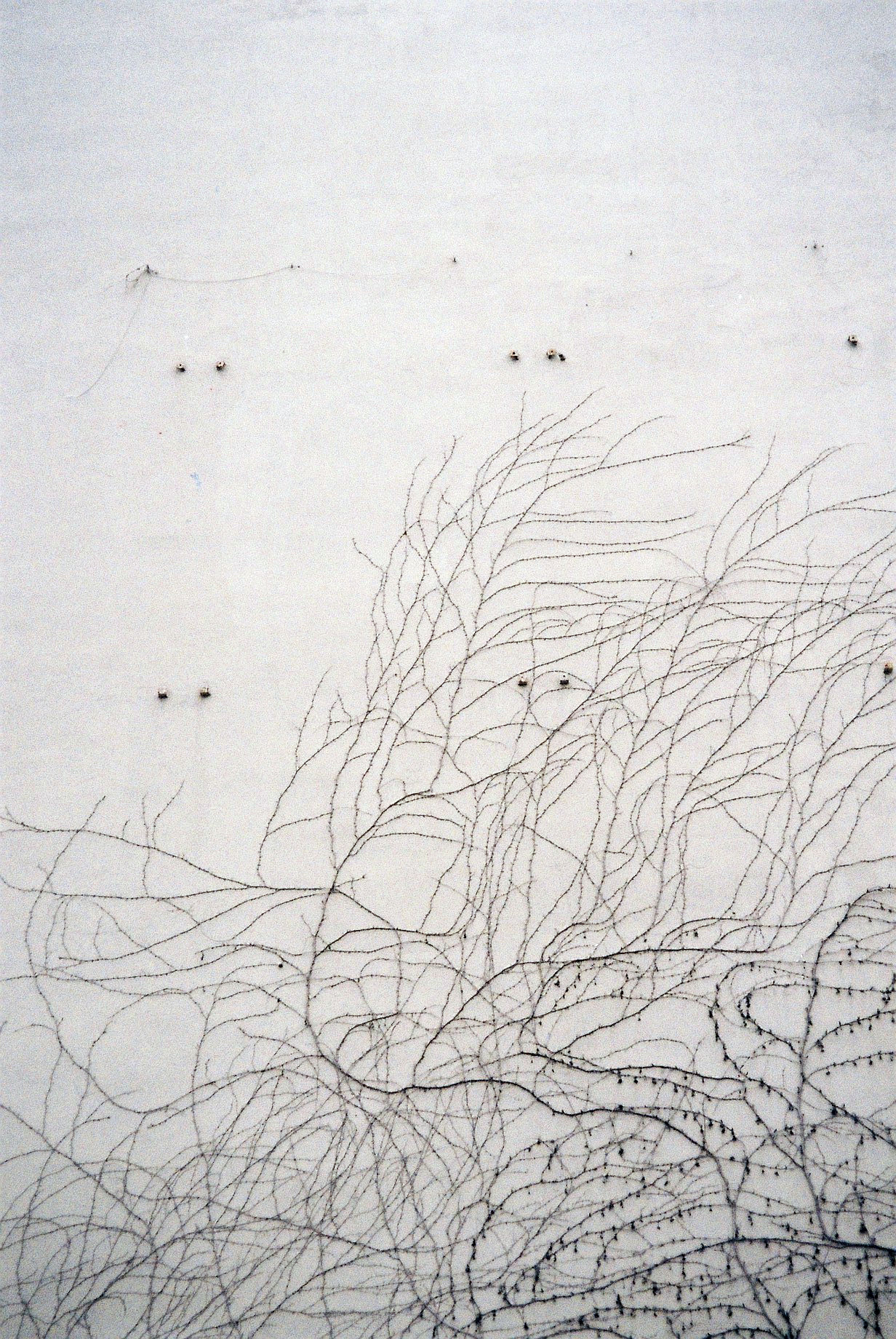 Archillect ID 399201