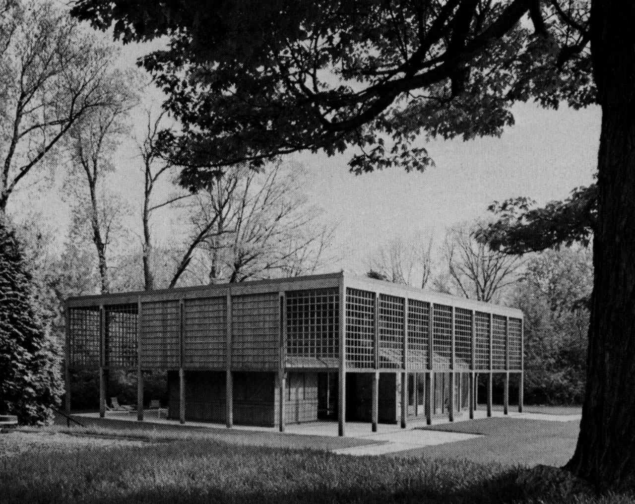 Archillect ID 399237