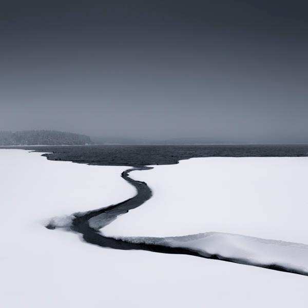 Archillect ID 399255