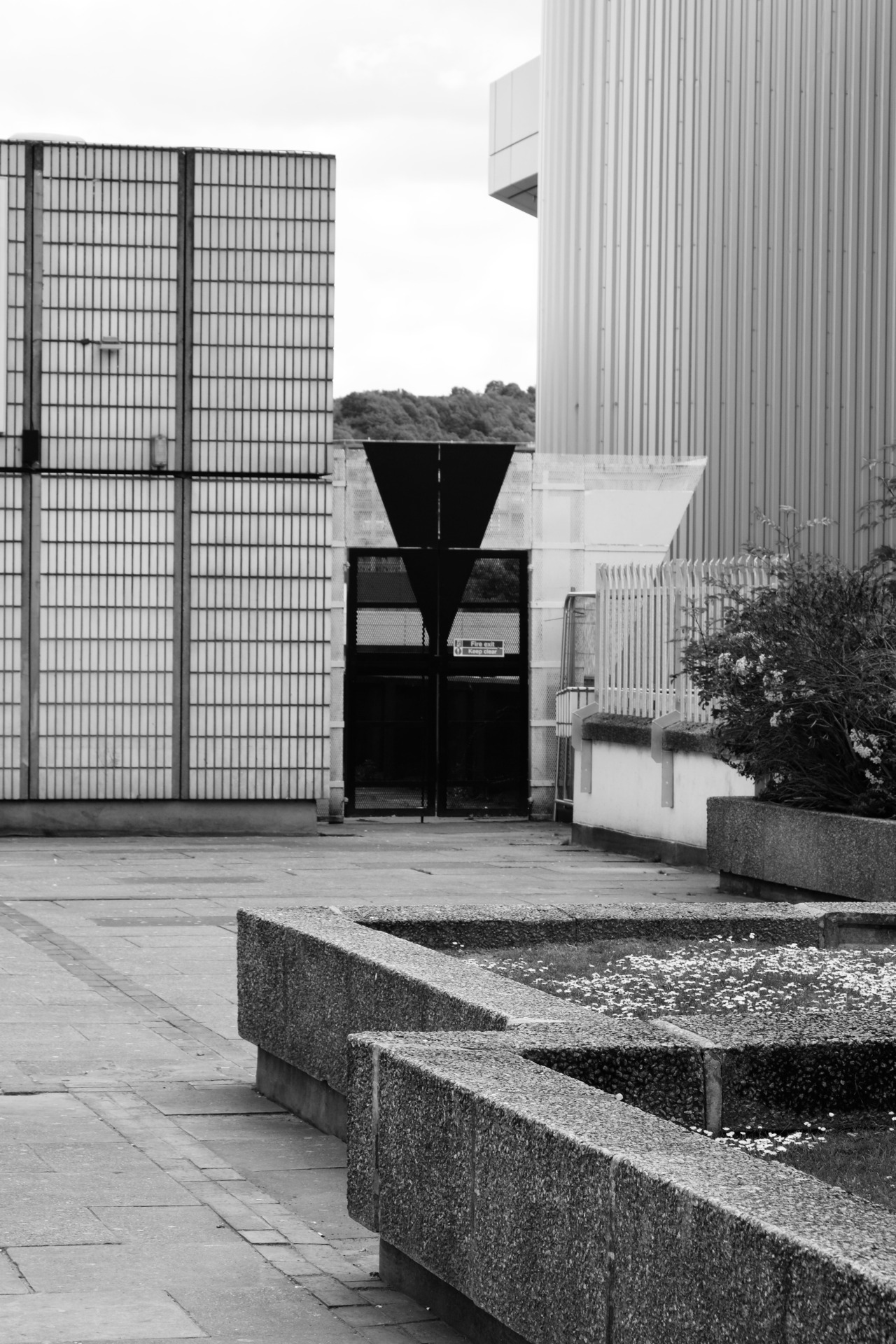 Archillect ID 399291